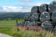 FOTO HEUKLIPPE UND BLACK