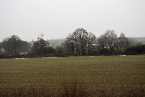 Foto 6x4 feld - 6x4, feld,