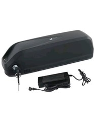 ebike akku 48V 25AH Li-Ion