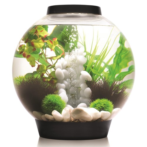 Biorb nano aquarium - biorb, nano-aquarium