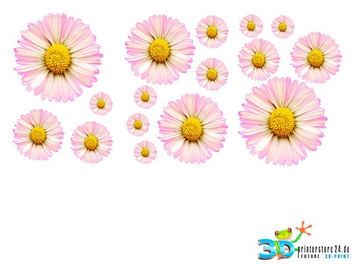 Blumen blümchen - 16, x