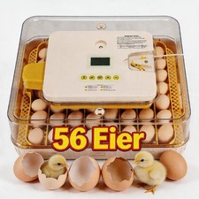 Inkubator Brutkasten