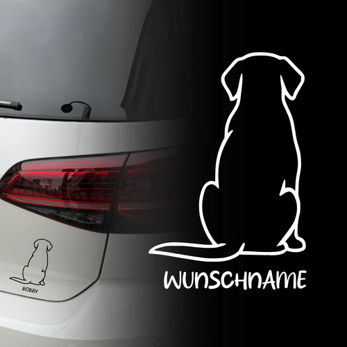 Labrador retriever auto - labrador,