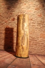 Lärche,Baumstammscheibe, Bohle,Regalbrett,Nadelholz,Unikat,Gartendeko,ca.4 kg,