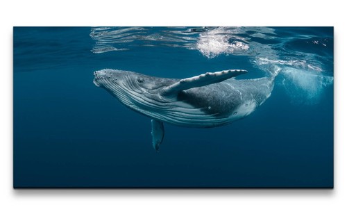 120x60cm leinwandbild wal - 120x60cm,