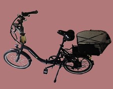 Saxonette 20" Kobold m