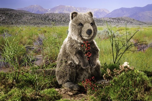 Kösen 7850 quokka cm - 7850,