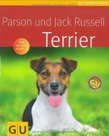 Parson und jack russell - parson,