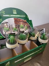 12 Stück Kaktuskerzen mit