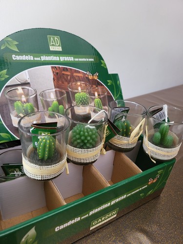 Stück kaktuskerzen mit - stück,