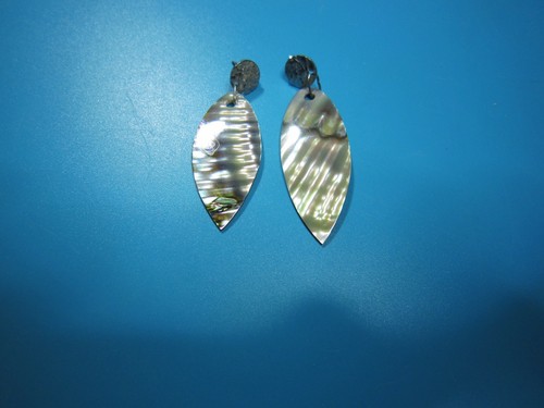 Abalone paua perlmutt - abalone-,