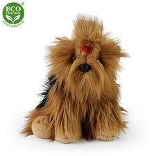Yorkshire terrier 24 cm - yorkshire,