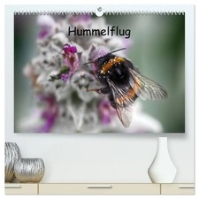 Hummelflug (hochwertiger