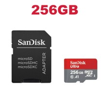 256GB SanDisK Ultra Micro SD