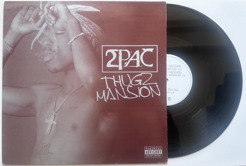 2pac thugz mansion vinyl - thugz,