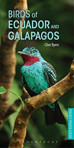 Birds ecuador and - of,