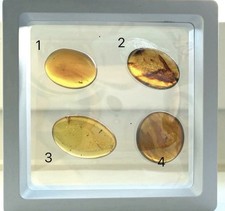 Vier schöne naturbernsteine - vier,
