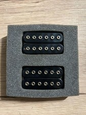 Bare knuckle warpig saiten - warpig,