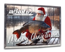 Magic Baits Adventskalender Karpfen Weihnachtskalender AngelKalender Carp