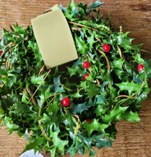 Stechpalme Beere 3.30m