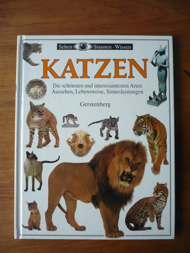 Katzen sehen staunen wissen - staunen,