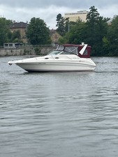 Sea Ray 240 Motorboot mit