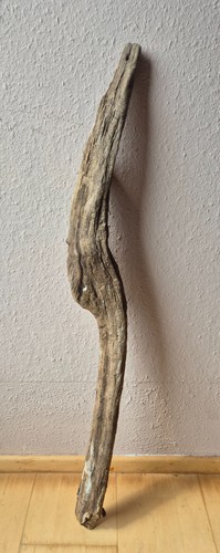 Treibholz wurzel ast brett - treibholz,