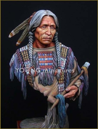 Junge miniaturen sioux - junge,