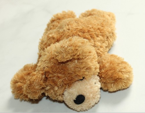 Teddy bär plüschtier - bär,