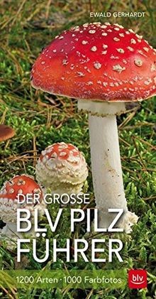 Der große blv - der,