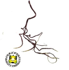 Luftwurzel Small biegbar 50 cm