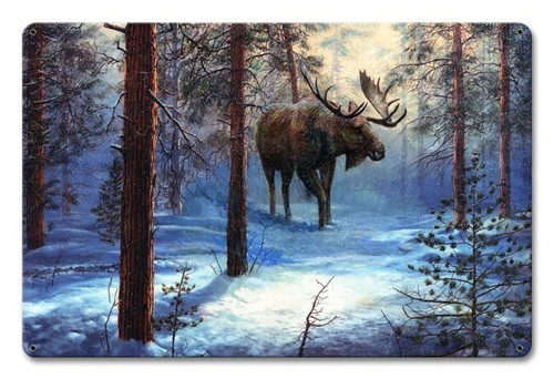 Canadian moose natur - moose,