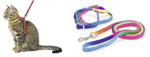 Katzengeschirr rainbow aus - ,