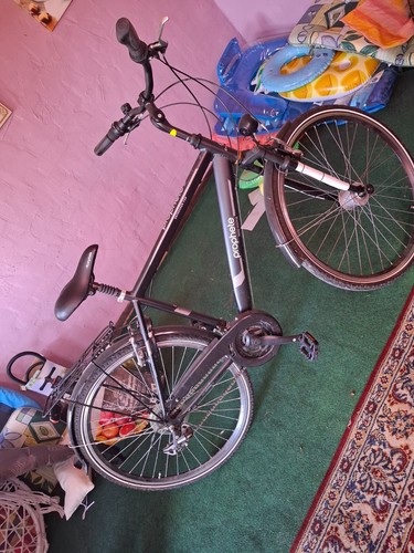 Prophete fahrrad herren - herren, in