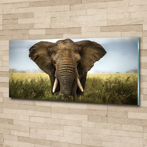 Glas bild wandbilder druck auf - glas-bild,