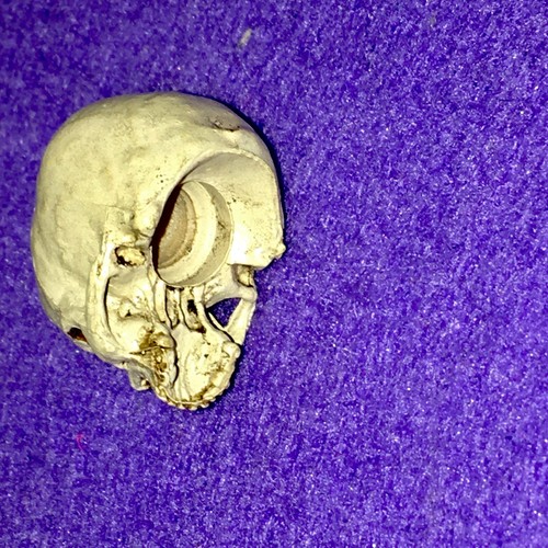 Totenkopf neca zubehör für - totenkopf,