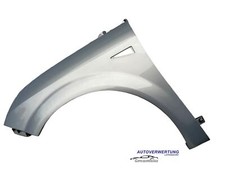 Original Kotflügel Vorne