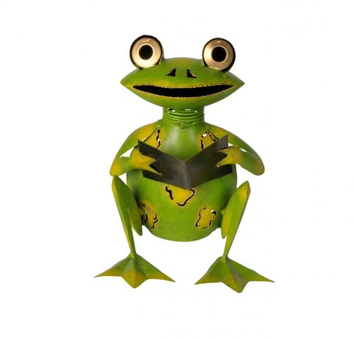 Frosch mit buch sitzend - buch,,