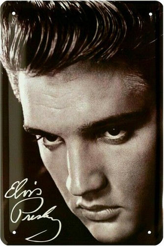 Blechschild 20x30 elvis - 20x30,