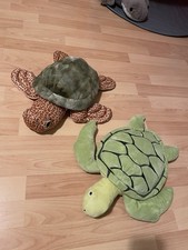 Schildkröte