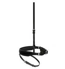 Passier  schwedisches