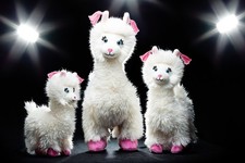 Schaffer Plüschtiere Lama