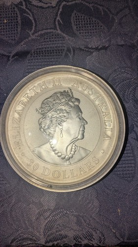 Koala dollars 2019 - dollars,