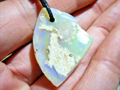Opalisierte muschel aus - muschel,