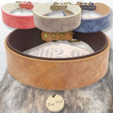 Big Paw Hundehalsband Breit mit Namen Lederhalsband Halsband Hund inkl. Tag