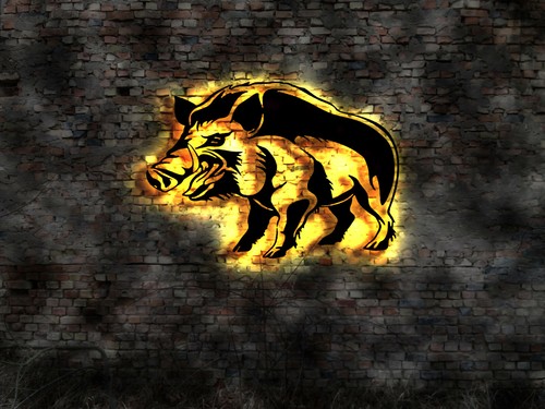 Led schild wildschwein - led,