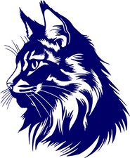 Aufkleber Katze - Main Coon