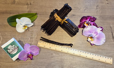 100g Vanilleschoten aus