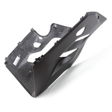 Carbon Bugspoiler für Ducati