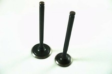 Pit Bike Dirt Bike Monkey